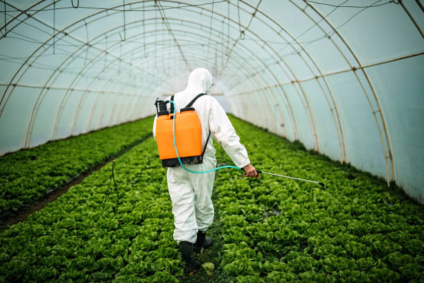 Coalinga, CA Pest Control Company