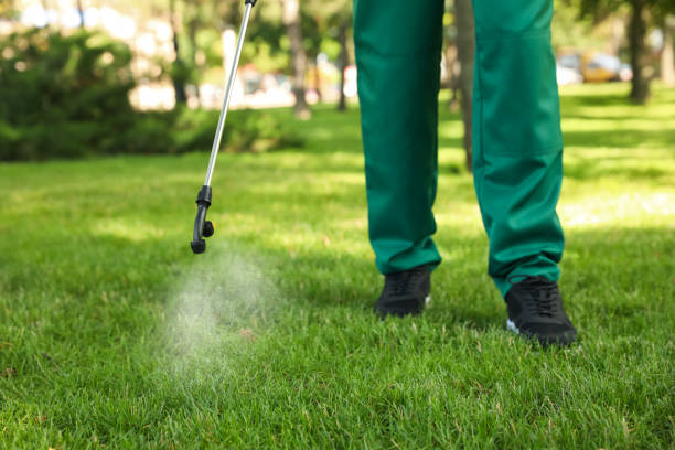Best Wasp Removal Services  in Coalinga, CA