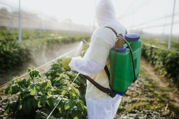 Best Best Pest Control Companies  in Coalinga, CA